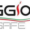 نمایندگی Oggioni – Delta Erre Safe
