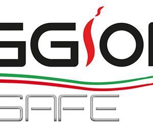 نمایندگی Oggioni – Delta Erre Safe