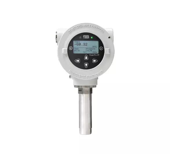 HygroPro XP پانامتریکز Panametrics